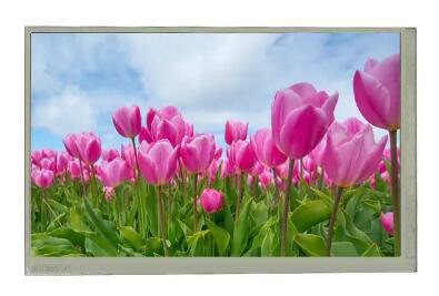 At070tn83 V.1 800x480 7 인치는 터치 화면 색깔 엘시디 판넬 300Nits 40Pins로 디스플레이합니다